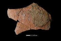 藏品(陶片)的圖片